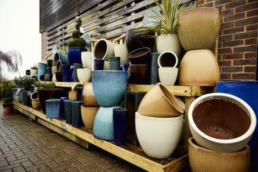 Choosing the Right Garden Pots for Your Plants