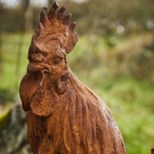 Cast Iron Tall Cockerel Statue - 0mm High