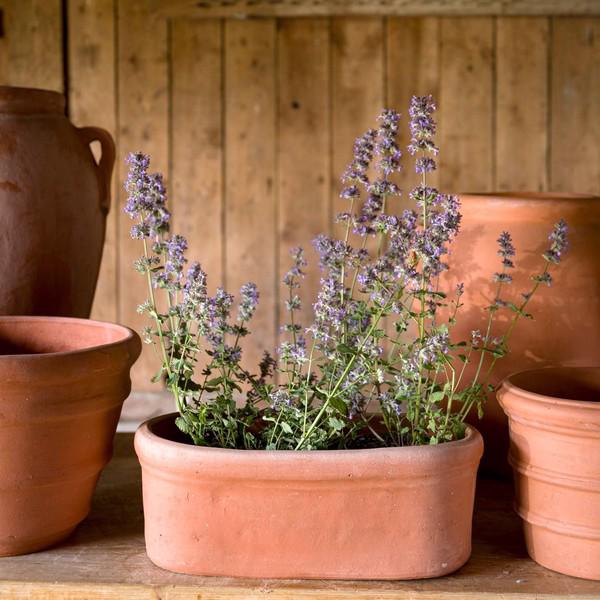 Terracini - Oval Rectangular Trough Planter - Terracotta