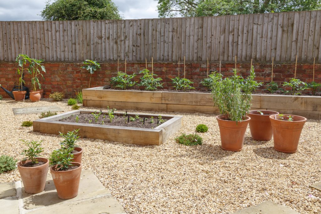 Raised beds in a kitchen vegetable garden with hard landscaping, gravel, terracotta plant pots and raised beds