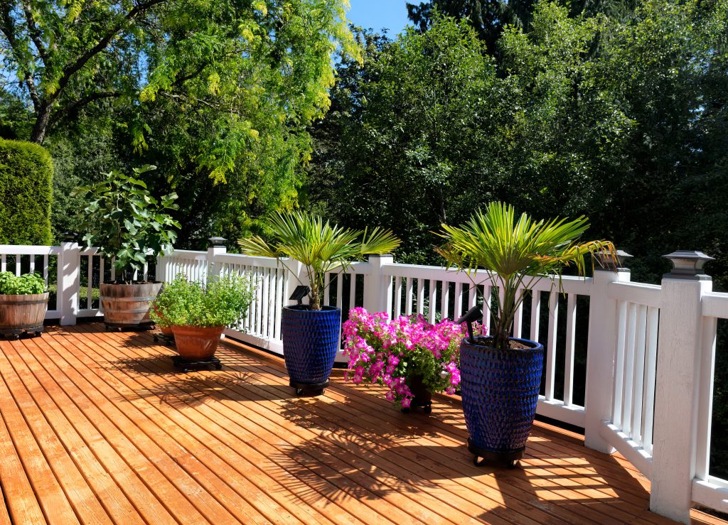 Home garden on outdoor wood cedar deck during summer time