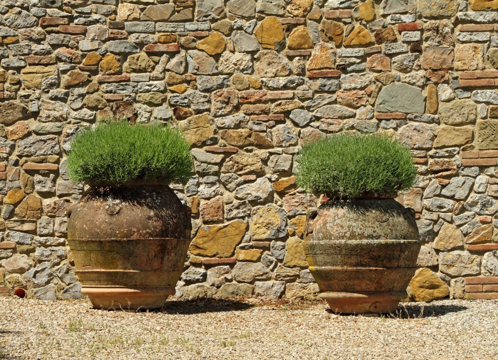 classic tuscan huge terracotta flower pots, Tuscany, Italy, Europe