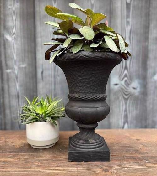 Cast Iron Hammered Swirl Urn - Black