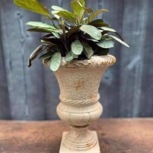 Cast Iron Hammered Swirl Urn - White