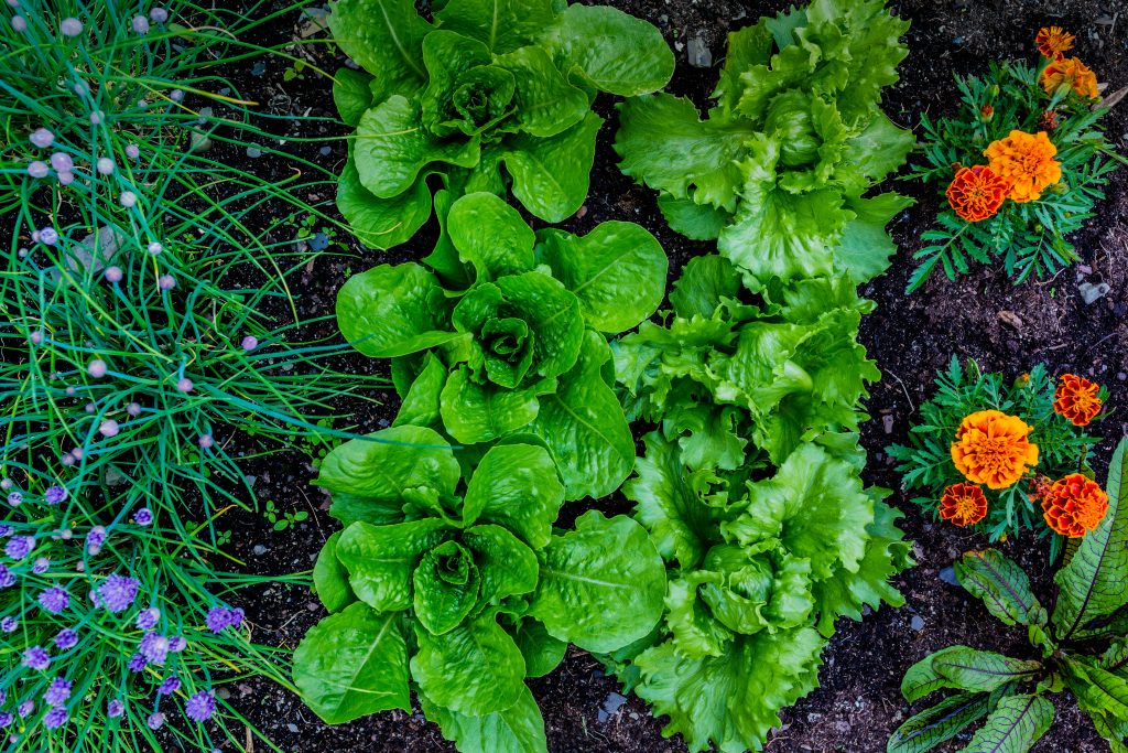 AdobeStock 205502101