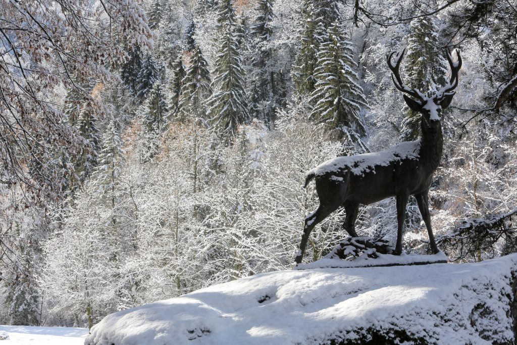 Cerf d'Europe. Statue par Pierre Louis Rouillard. 1875. Fonte de fer. Parc thermal de Saint-Gervais-les-Bains/Le Fayet. / European deer. Statue by Pierre Louis Rouillard. 1875. Cast iron. Thermal Park of St. Gervais-les-Bains / Le Fayet.