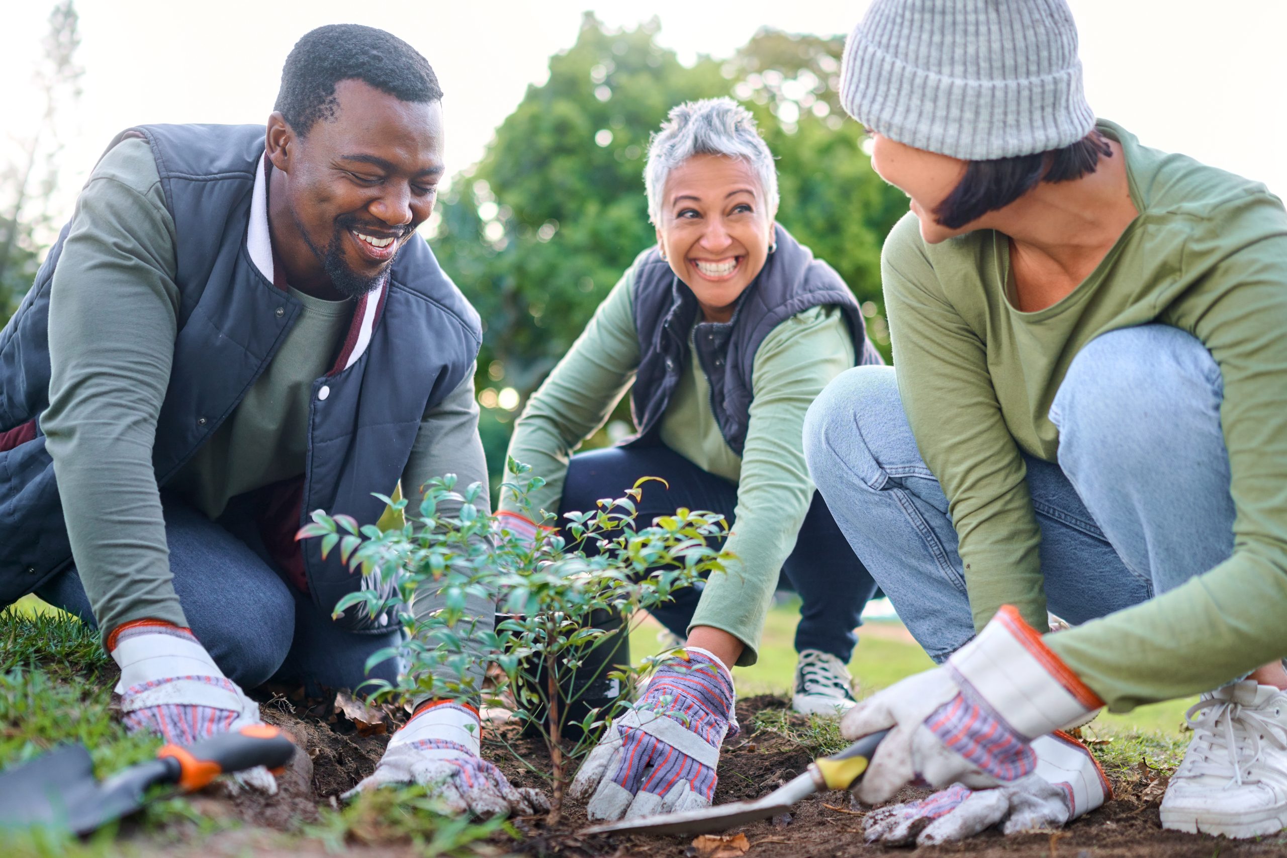 Community service, volunteering and people plant trees in park, garden and nature for sustainable environment. Climate change, soil gardening and sustainability for earth day, growth or green ecology.