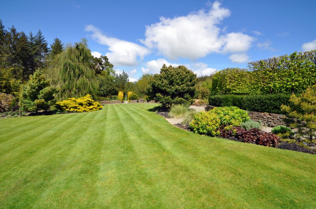 The lawn, trees, shrubs, and boarders all conbine to make this the classic manicured English country garden. Taken in high summer at Rosemoor Gardens, Torrington, Devon, England