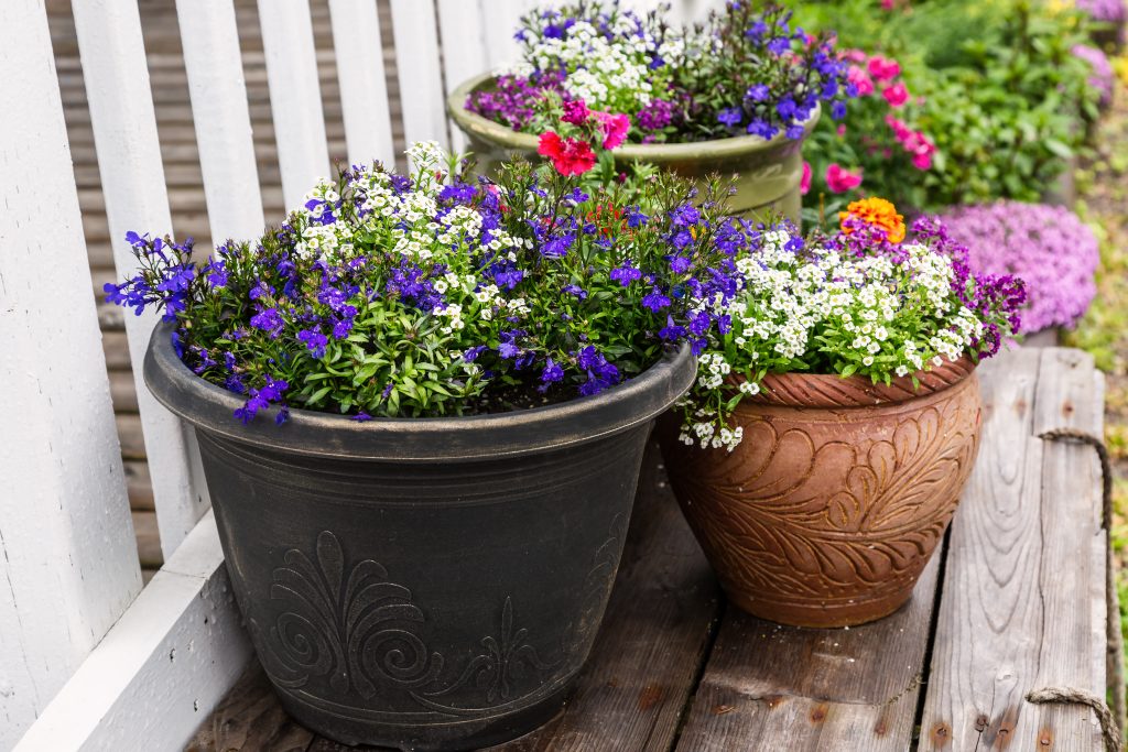 A collection of flower planters in the summer garden.