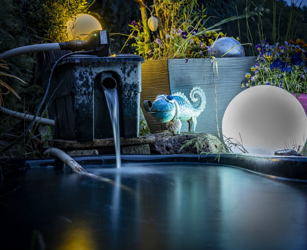 Water pond in a garden captured at night with long time exposure. Scene is illuminated by light bulbs. A lizard/chameleon figure is seen.