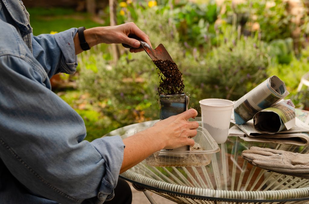 Gardening with recycled material. A woman filling pots made of newspaper sheets in the garden.