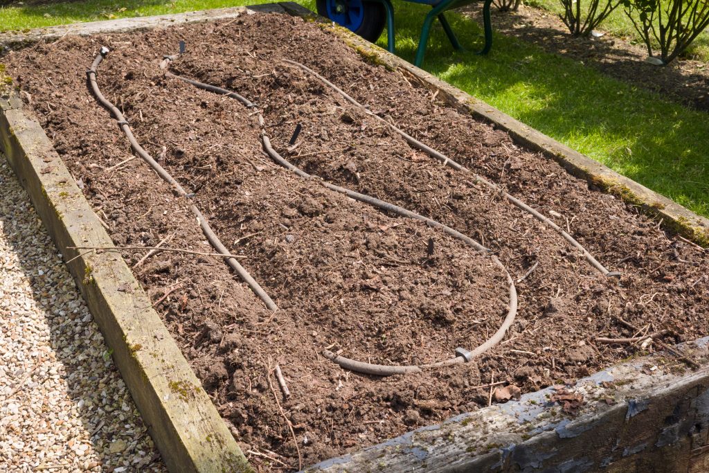 Preparing raised beds with irrigation hose before planting in a vegetable garden, UK