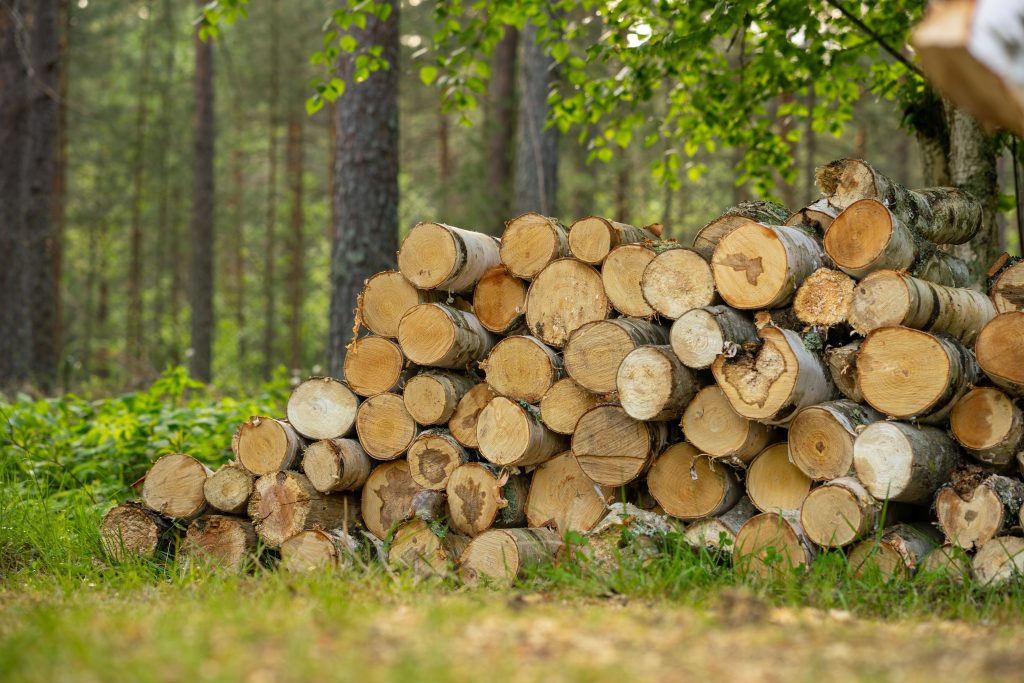 AdobeStock 1434329198