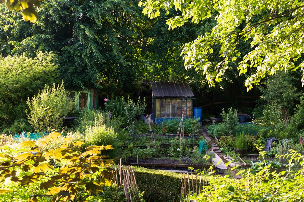 AdobeStock 618296027