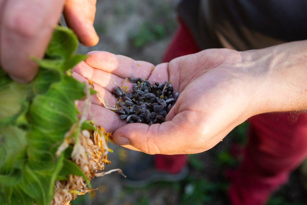 AdobeStock 505225481