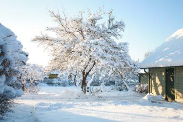 How to Create Your Own Garden Winter Wonderland