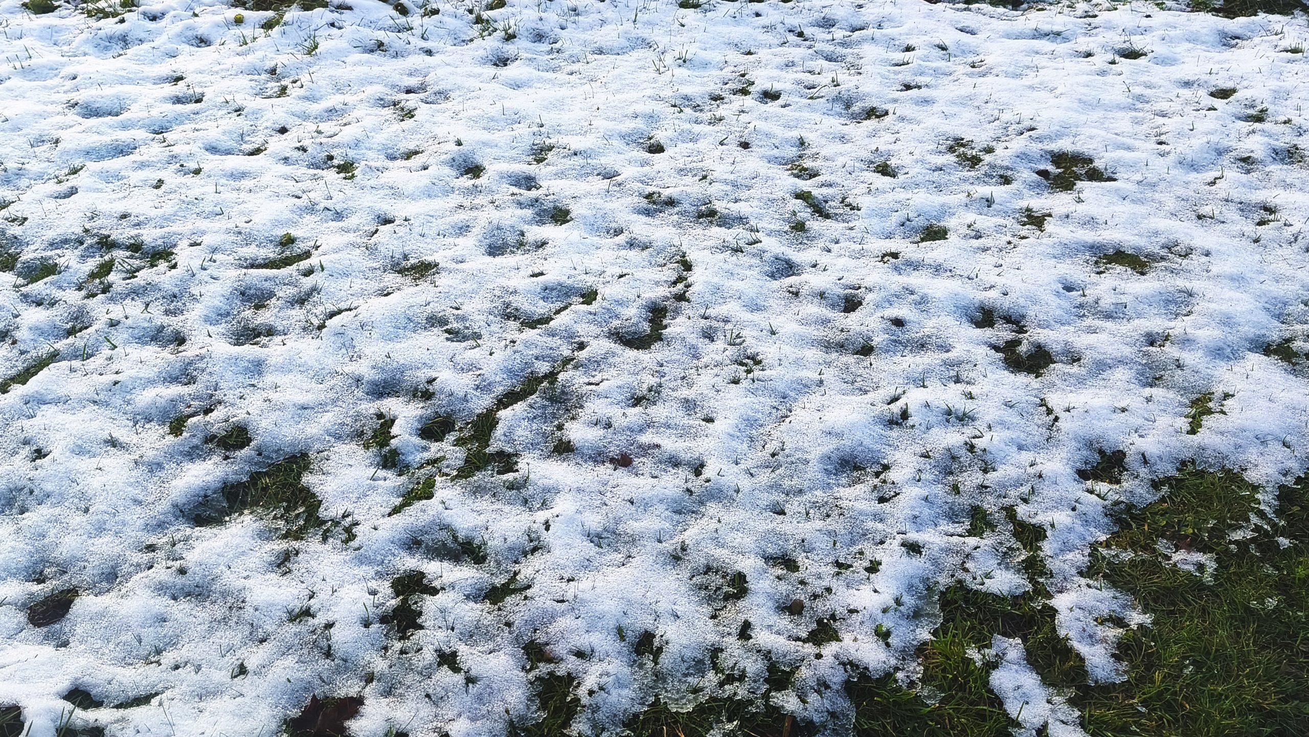 AdobeStock 1812621427 scaled