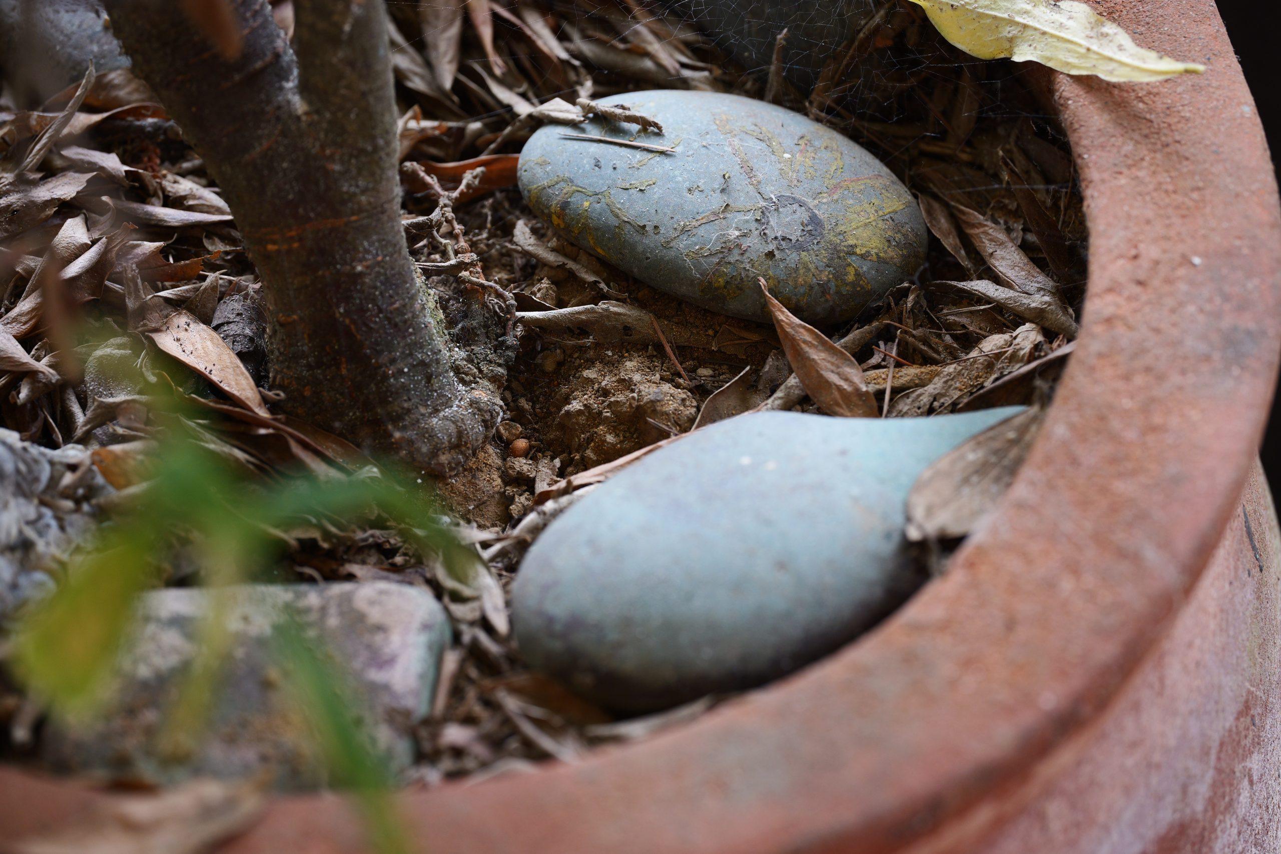 The Round Wood Materials Guide 11 Plant stem and river stones resting in a terracotta pot with dried leaves