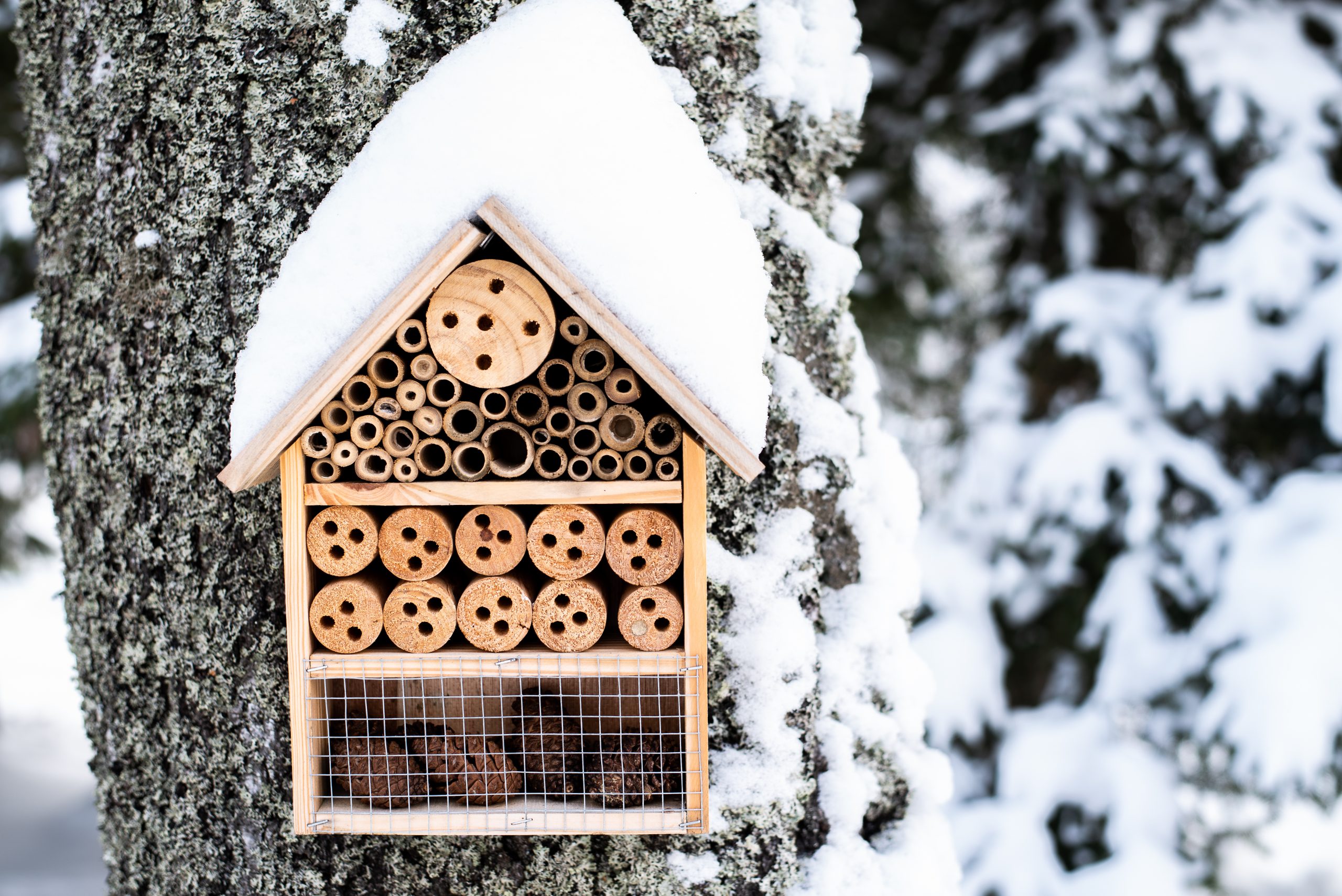 AdobeStock 239364332 scaled