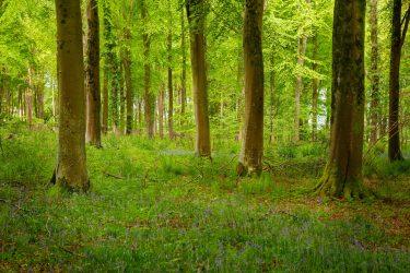 World Nature Conservation Day 2025