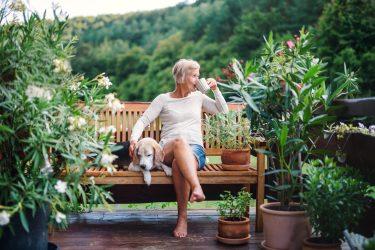Sensory Garden Ideas to Support Mental Well-Being at Home