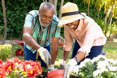 7 Low-Maintenance Garden Ideas for Homeowners in the UK