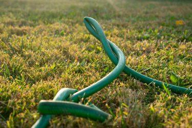 How to Conserve Water in Your Garden and Cut Costs