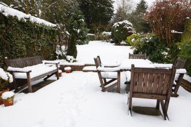 Getting Your Garden Ready for Winter