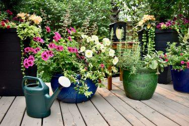 Decking and Planter Ideas for UK Gardens