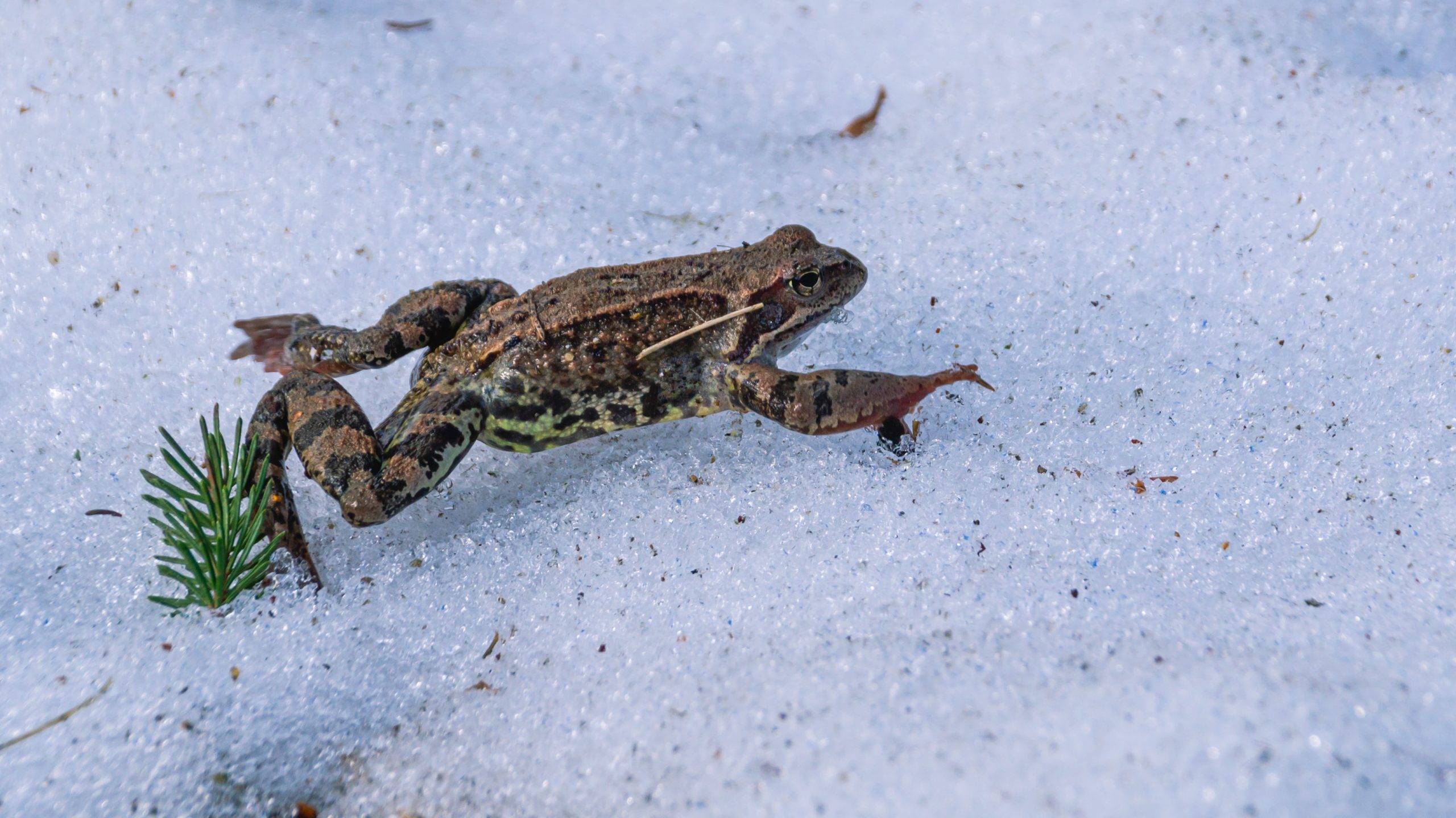 AdobeStock 504931135 scaled