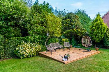 Your Guide to 2025 Garden Trends