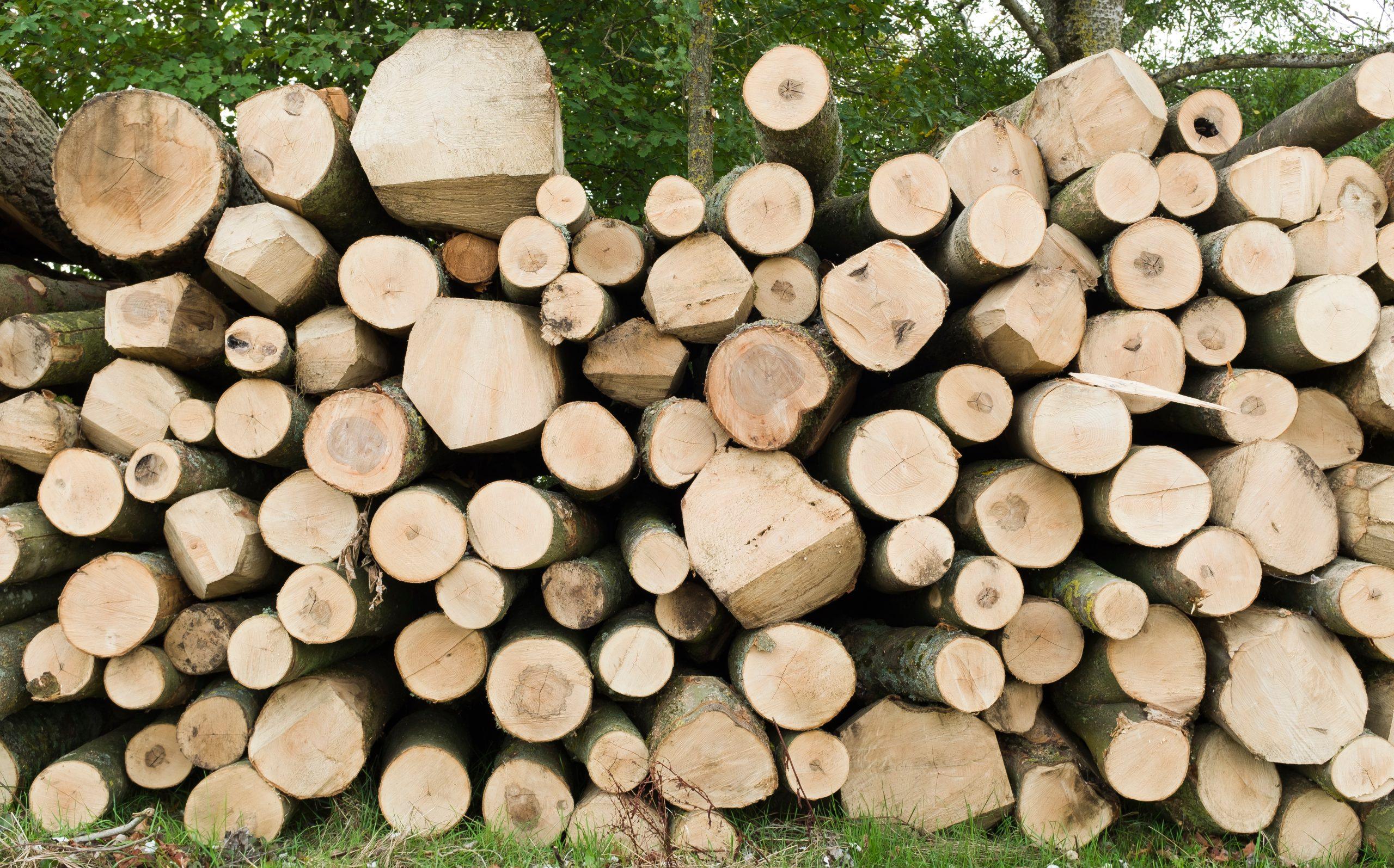The Round Wood Materials Guide 15 Logging for firewood. Log pile in UK woodland, stacked ready to use for biomass fuel