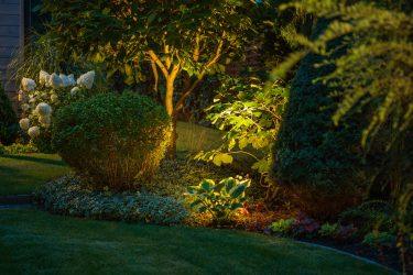 Creating a Moon Garden