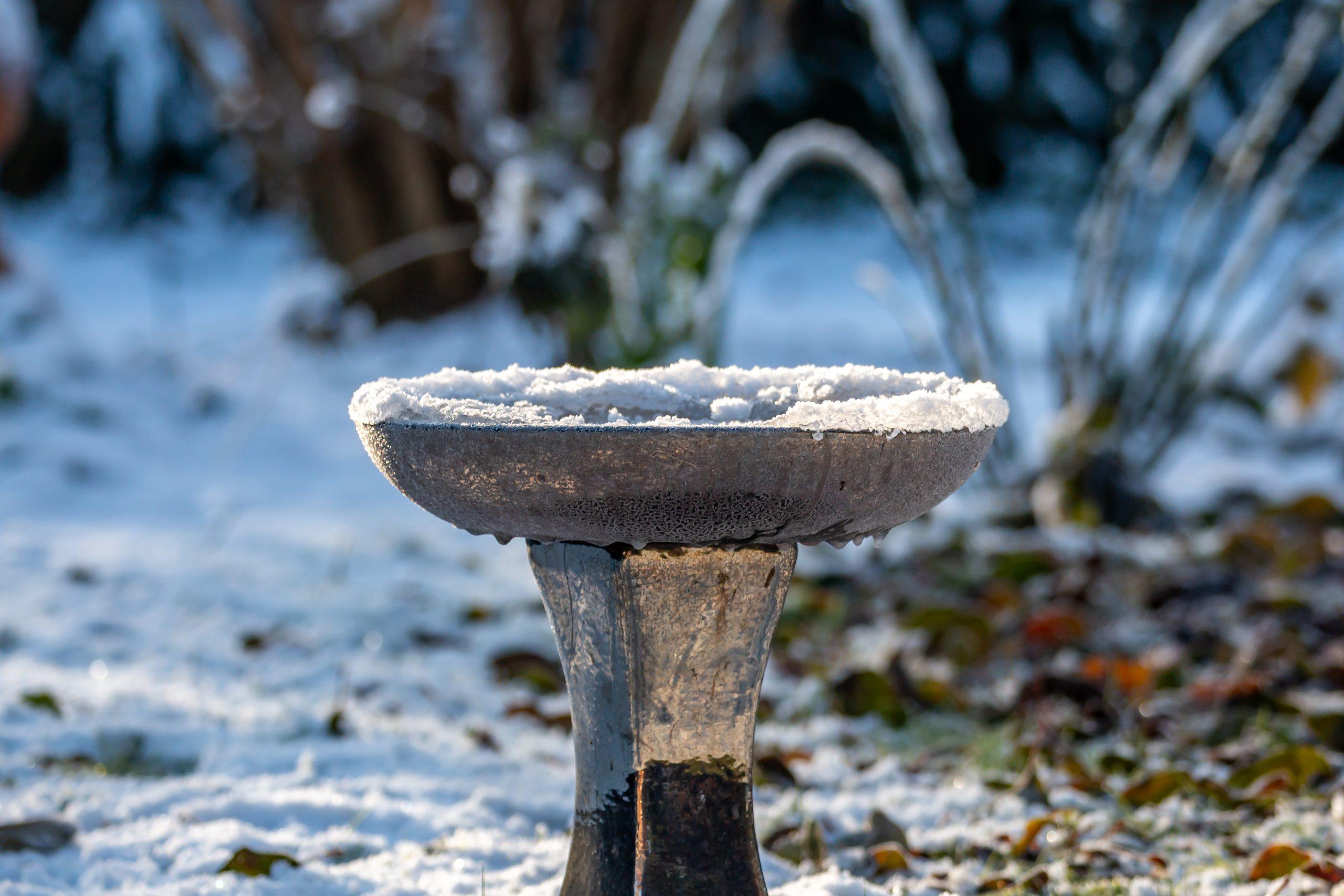 AdobeStock 665597162 scaled