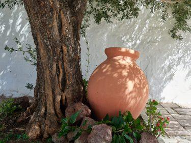 How Terracotta Pots Add Timeless Character to Your Garden