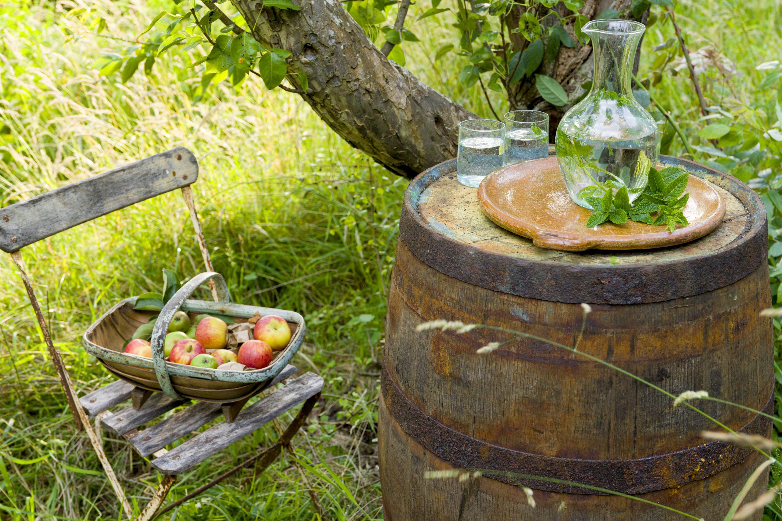 Garden & Outdoor Living Guide 13 Rounwood Lifestyle Shoot July 24 140 scaled