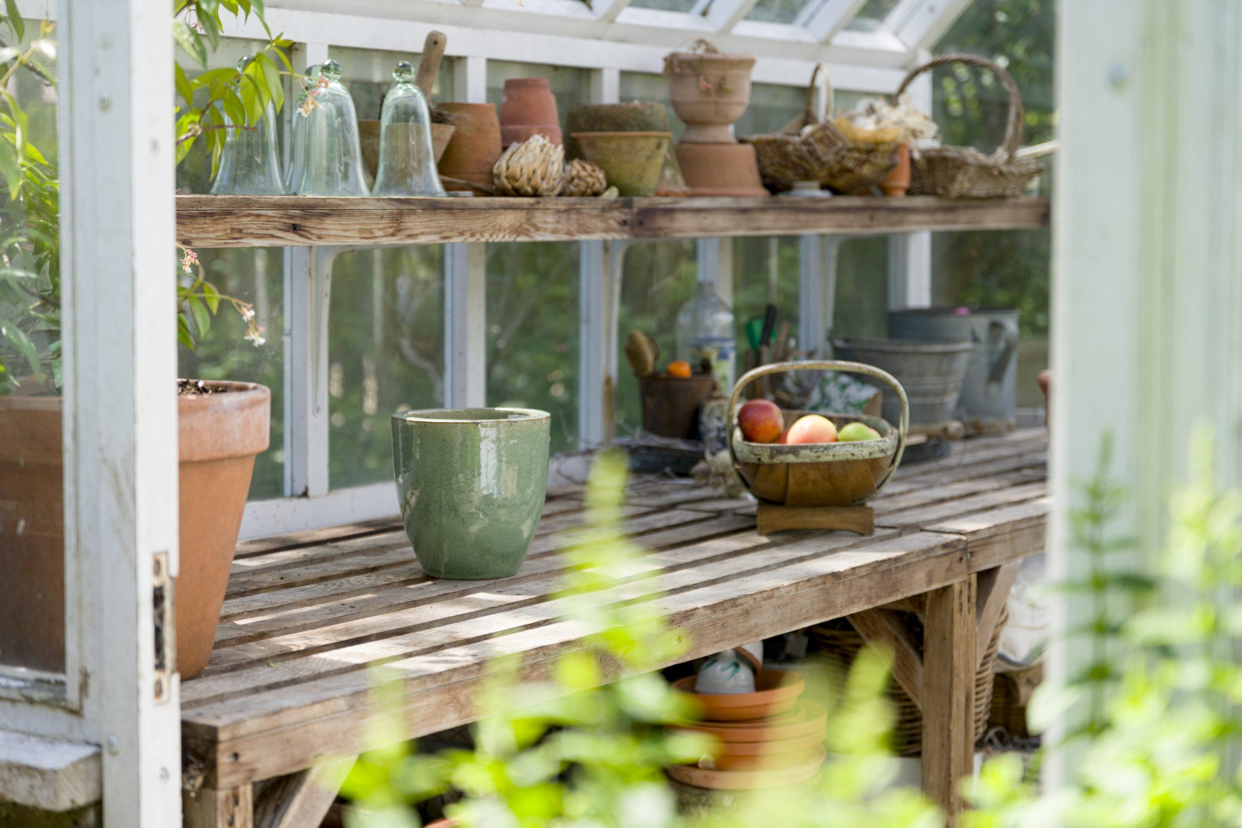 Garden & Outdoor Living Guide 12 Rounwood Lifestyle Shoot July 24 230 scaled