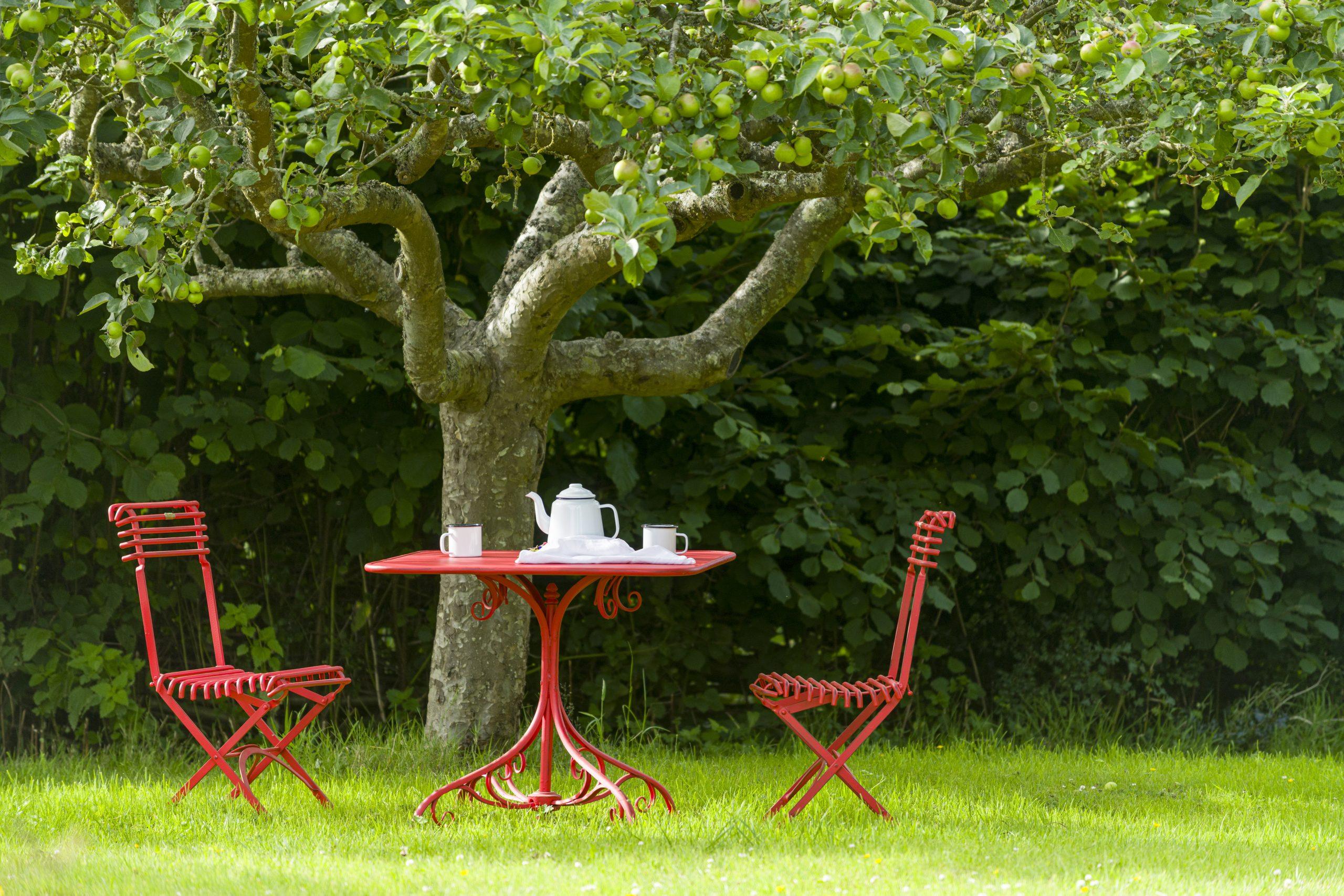 Garden & Outdoor Living Guide 4 Rounwood Lifestyle Shoot July 24 366 scaled