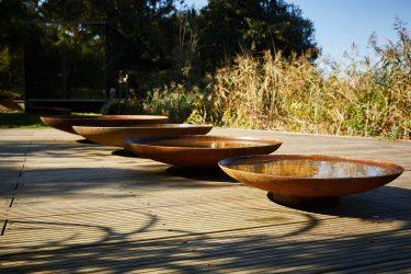 Water Feature and Fire Pit Ideas